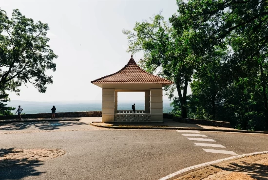 Escape the City: Memorable Road Trips from New Boston, TX